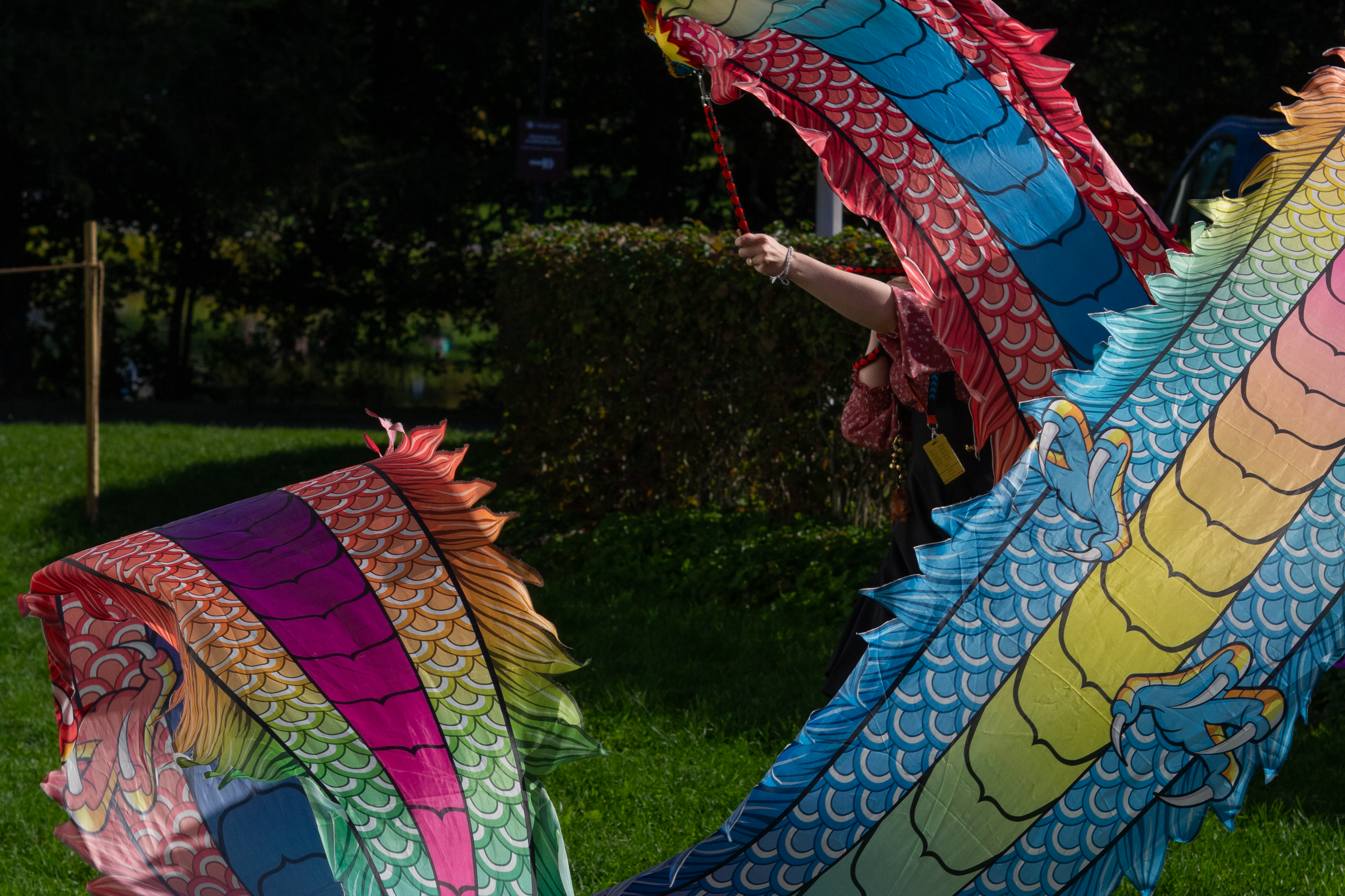 Kuvituskuva: valokuva värikkäästä lohikäärme poista käytössä.